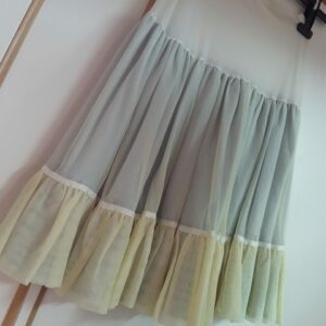 Bonte Koe Verhuur Maasland - Petticoat mint