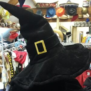 Bonte Koe Verhuur Maasland - heksenhoeden