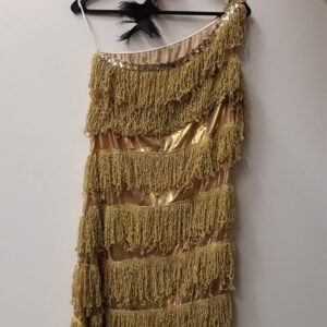 Bonte Koe Verhuur Maasland - Franje jaren '20 goud