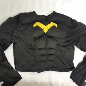 10283 Bonte Koe Verhuur Maasland - Superheld Batman